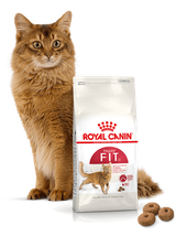 ROYAL CANIN  FIT 32 10kg karma sucha dla kotów dorosłych, wspierająca idealną kondycję + niespodzianka dla kota GRATIS!