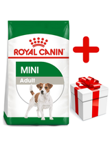 ROYAL CANIN Mini Adult 8kg karma sucha dla psów dorosłych, ras małych + niespodzianka dla psa GRATIS!