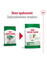 ROYAL CANIN Mini Adult +8  8kg karma sucha dla psów starszych od 8 do 12 roku życia, ras małych