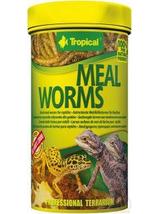 TROPICAL Meal Worms 100ml