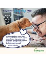 VETOQUINOL Flexadin Young Dog Maxi 60 kąsków