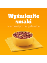 PEDIGREE Adult Mix Smaków w Galaretce 160x100g