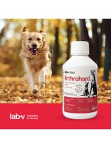 Lab-v Arthrohard 250ml Preparat na wsparcie stawów dla psa i kota