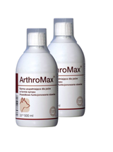 Arthromax 2x500ml