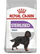 ROYAL CANIN CCN Maxi Sterilised 12kg karma sucha dla psów dorosłych, ras dużych, sterylizowanych