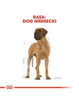 ROYAL CANIN Great Dane Adult 12kg karma sucha dla psów dorosłych rasy dog niemiecki