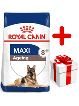 ROYAL CANIN Maxi Ageing 8+ 15kg karma sucha dla psów dojrzałych, po 8 roku życia, ras dużych  + niespodzianka dla psa GRATIS!