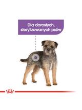 ROYAL CANIN CCN Mini Sterilised 3kg karma sucha dla psów dorosłych, ras małych, sterylizowanych /Opakowanie uszkodzone (7786,7782) !!!