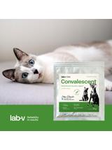 Lab-v Convalescent - karma paszowa dietetyczna dla psów i kotów 20 g
