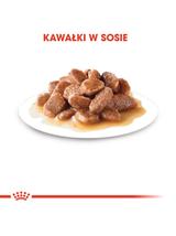 ROYAL CANIN  Instinctive 12x85g w sosie karma mokra w sosie dla kotów dorosłych, wybrednych