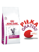 ROYAL CANIN Renal Select Feline 2kg + PIŁKA GRATIS!!