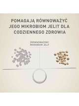 PURINA ONE Mini Active Kurczak, ryż - sucha karma dla psa - 800g /  / Opakowanie uszkodzone (8675) !!!