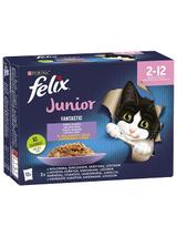 FELIX Fantastic Junior w galaretce;24x85g