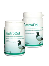 Dolfos GastroDol 2x300g