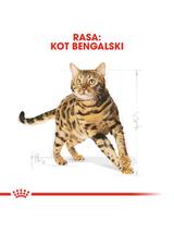 ROYAL CANIN Bengal Adult 10kg karma sucha dla kotów dorosłych rasy bengal + Royal Canin piłka dla kota GRATIS!!!