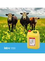 Lab-v Gligar - Mieszanka Paszowa Uzupełniająca Dietetyczna Dla Krów Mlecznych Zmniejszająca Ryzyko Wystąpienia Ketozy 5kg