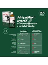 Lab-v Equihard – Kompleksowa formuła na zdrowe stawy dla koni i kucyków 2x500 ml