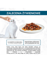 Purina Gourmet Perle Karma dla kotów mini fileciki w sosie z wołowiną i marchewką 85g