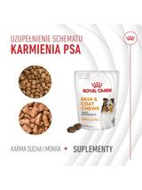 Royal Canin Supplements Skin and Coat Adult Dog  240g