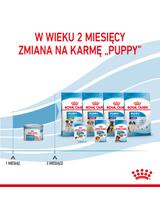 ROYAL CANIN Starter Mousse Mother & Babydog 12x195g karma mokra - mus, dla suk w czasie ciąży, laktacji oraz szczeniąt