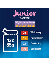 FELIX Fantastic Junior w galaretce;24x85g