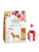 DOLINA NOTECI 4Vets Natural Weight Reduction karma suszona dla psów z nadwagą i otyłością 1 kg + niespodzianka dla psa GRATIS!