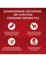 Purina One Junior Mini/Small Karma dla szczeniąt bogata w kurczaka z ryżem 800 g