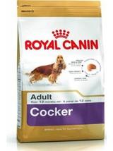 ROYAL CANIN Cocker Spaniel Adult 12kg karma sucha dla psów dorosłych rasy cocker spaniel + niespodzianka dla psa GRATIS!
