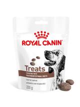 Royal Canin Dog Gastrointestinal Treats przysmak dla psów 230g