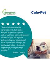VETOQUINOL Calo-Pet - energetyczny dodatek żywieniowy dla psów i kotów 120g / DATA WAŻNOŚCI 07.2026