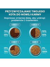 PURINA ONE Bifensis Sterilcat Karma dla kotów bogata w łososia 1,4 kg