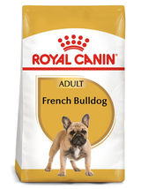 ROYAL CANIN French Bulldog Adult 1,5kg karma sucha dla psów dorosłych rasy bulldog francuski