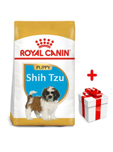 ROYAL CANIN Shih Tzu Puppy 500g karma sucha dla szczeniąt do 10 miesiąca, rasy shih tzu + niespodzianka dla psa GRATIS!