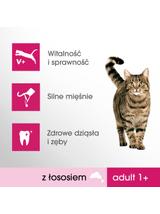 PERFECT FIT (Adult 1+) 3 x 750g Bogaty w łososia - sucha karma dla kotów dorosłych