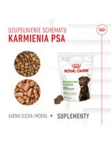 Royal Canin Digestion Adult Chews 160g
