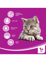 WHISKAS Adult 14 kg - sucha karma dla dorosłego kota, z pyszną wołowiną / Opakowanie uszkodzone (9471,9482) !!!
