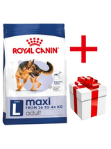 ROYAL CANIN Maxi Adult 4kg karma sucha dla psów dorosłych, do 5 roku życia, ras dużych + NIESPODZIANKA DLA PSA GRATIS!!