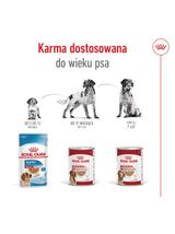 ROYAL CANIN® Medium Ageing 7+ 410g karma mokra, pasztet, dla psów starszych od 7. roku życia, ras średnich