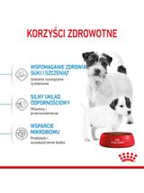 ROYAL CANIN Mini Starter Mother & Babydog 1kg karma sucha dla suk w ciąży i okresie laktacji oraz szczeniąt, od 4 do 8 tygodnia, ras małych  + niespodzianka dla psa GRATIS!