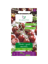 Pomidor gruntowy wysoki Black Cherry - owoce typu "cherry", purpurowo-brązowe