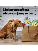 Pedigree Dentastix Light Dental Chews Średnie rasy Przysmaki dla psów 7szt. - 98g