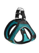 HUNTER Szelki Hilo Comfort turkusowe XS-S