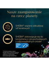SHEBA Filets mokra karma dla kota z tuńczykiem w sosie 60g