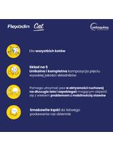 VETOQUINOL Flexadin Cat 60 kąsków