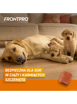 Frontpro tabletki na pchły i kleszcze XL 136mg 25-50kg 1 TABLETKA