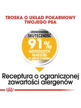 ROYAL CANIN CCN Maxi Dermacomfort 11,7kg karma sucha dla psów dorosłych, ras dużych, o wrażliwej skórze, skłonnej do podrażnień /Opakowanie uszkodzone (6102) !!!