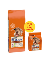 PURINA Dog Chow Mature Senior Lamb 14kg + 2,5kg