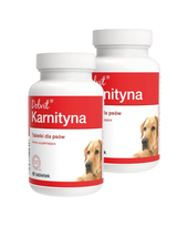 Dolvit Karnityna 2x90 tabletek