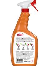 Nature's Miracle SET-IN OXY Stain&Odour REMOVER CAT 709ml