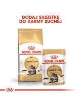 ROYAL CANIN Maine Coon Adult 4kg karma sucha dla kotów dorosłych rasy maine coon